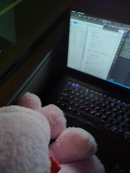 Picture of my laptop in my lap, and a pink plushie elephant is sitting on top of the laptop, there's an ide and a web browser open on the laptop. We are on a bus, and it's currently night time