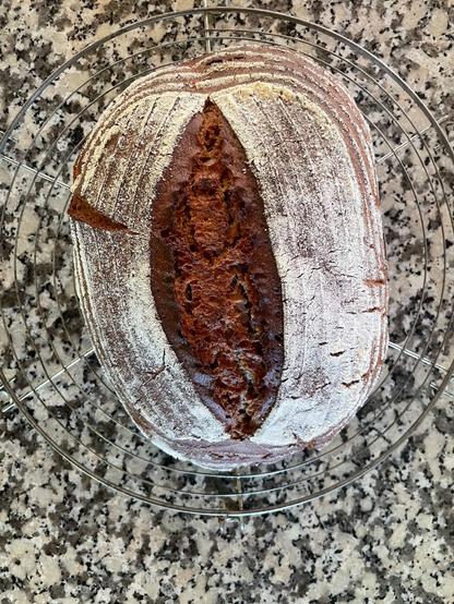 Frisch gebackenes Brot auf einem runden Gitterrost auf einer Granitplatte
Automatisch generiert:
Loaf of freshly baked bread with a dusting of flour on a wire cooling rack, with a granite countertop in the background.