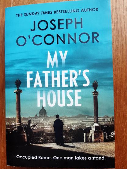 Book cover: blue sky, a priest stands with his back to us looking out across Rome.