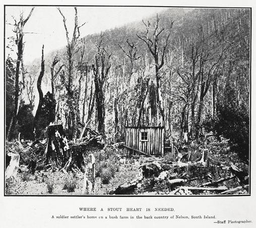 Black-and-white photo: Where a stout heart is needed. 1924. Extended caption: A soldier settler’s bush farm in the back country of Nelson, South Island. Description: Shows a single-room hut surrounded by felled and burnt(?) native bush. Citation: Auckland Weekly News, 21 August 1924, p. 44. Auckland Libraries Heritage Collections AWNS-19240821-44-04. https://kura.aucklandlibraries.govt.nz/digital/collection/photos/id/246028