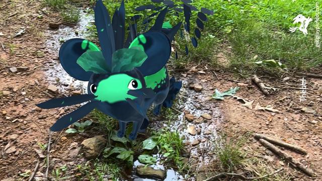 A black and green dot with the plumage chaos trait Grassy Blades, standing in a puddle and grass and facing the camera.