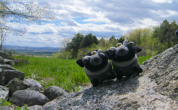 Two tiny plush goats, grey and black, standing on a stone wall, with green fields and mountains in the background. The sky is blue with clouds.