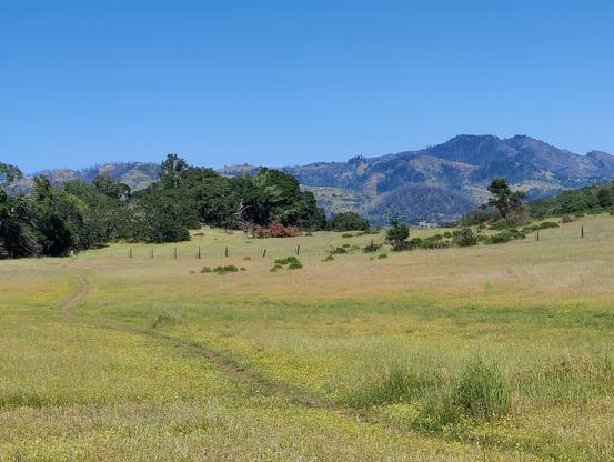 A meadow in front of hills and blue sky