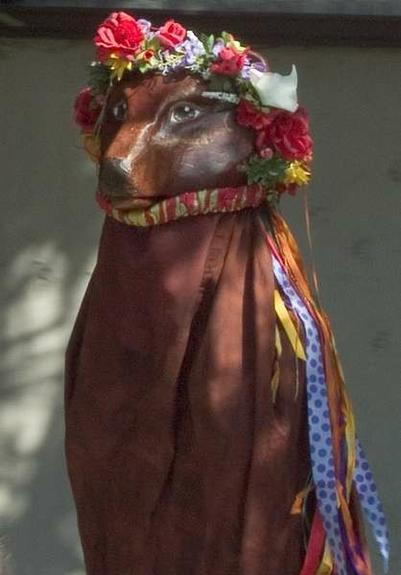 A brown fiberglass bear head, wearing a garland of red roses, with a red and yellow ruffle under her chin, and a body consisting of a cloak of thick brown fabric