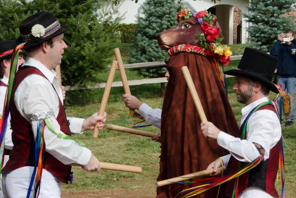 Lucy the Bear participating in a morris dance, in a set with three other dancers in white shirts, red vests, and black hats with ribbons, wielding short sticks.