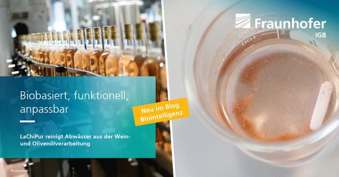 Biobasiert, funktionell, anpassbar: LaChiPur reinigt Abwässer aus der Wein- und Olivenölverarbeitung

Neu im Blog Biointelligenz

Im Hintergrund: Abwasser aus der Weinerzeugung, Weinflaschen