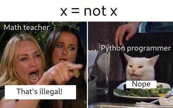 A line of Python code: x = not x
Woman yelling at cat.
Woman (math teacher) yells: That's illegal!
Cat (Python programmer) says: Nope.