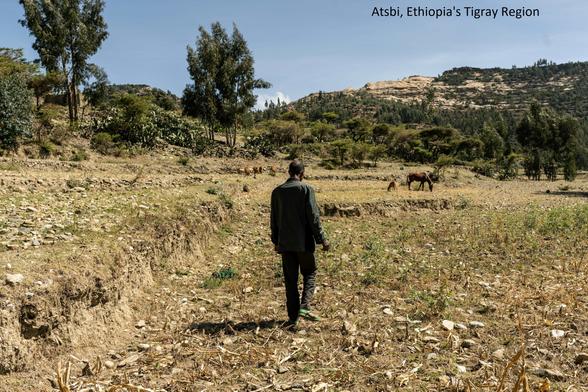photo - farmer, Atsbi, Tigray, Ethiopia