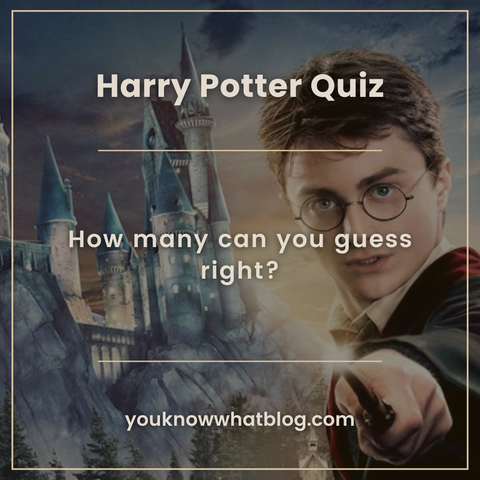 Harry Potter Movie Quiz by you know what blog teaser image