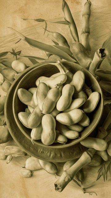 « Generated by ideogramai »
(Broad beans and bamboo shoots), a carefully crafted still life with a vintage feel, (botanical), (pencil-art )