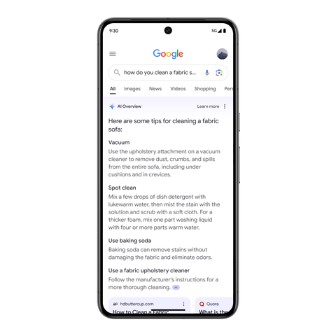 google ai overview