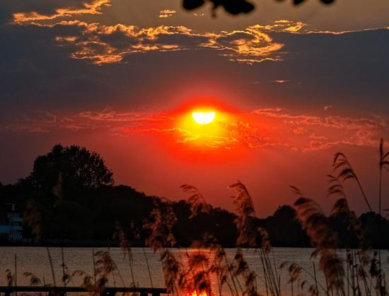 Reeds can be seen in the foreground, with water behind them. The sun is setting over the lake and the forest on the other shore. The sun is surrounded by a red aura that bathes the sky below in a deep red light.