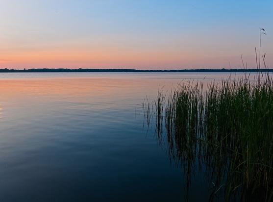 The water of a large lake. As the sun sets outside the picture, the sky and water are bathed in the colours blue, orange and pink. Some grasses are in the water.