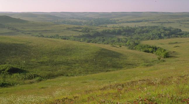 photo - Konza Prairie Biological Station (KONZ) is a terrestrial NEON field site located in the Flint Hills region of Kansas just 10 km (6 mi.) south of Manhattan, KS.