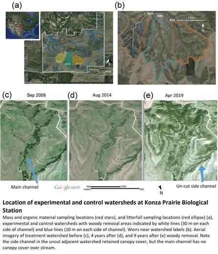 maps - Location of experimental and control watersheds at Konza Prairie Biological Station, moss and organic material sampling locations (red stars), and litterfall sampling locations (red ellipse) (a), experimental and control watersheds with woody removal areas indicated by white lines (30 m on each side of channel) and blue lines (10 m on each side of channel). Weirs near watershed labels (b). Aerial imagery of treatment watershed before (c), 4 years after (d), and 9 years after (e) woody removal. Note the side channel in the uncut adjacent watershed retained canopy cover, but the main channel has no canopy cover over stream.