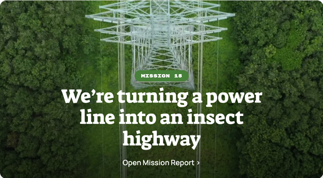 Screenshot of Planet Wild's 15th mission on rewilding the area under power lines into insect corridors. It shows a power line from above and its cleared corridor.