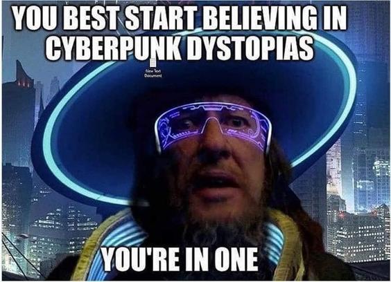 A cyber Pirate with led illuminated holo glases and wide brim hat and collar standing in front of a cyberpunk landscape. He has a beard and a flabbergasted expression on his face.
Meme text: 
"YOU BETTER START BELIEVING IN CYBERPUNK DYSTOPIAS"

"YOU'RE IN ONE"