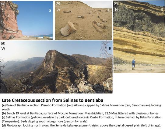 photos - late Cretaceous section from Salinas to Bentiaba, Angola