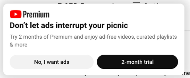 YouTube module advertising Premium says "Don't let ad interrupt your picnic. Try to months of Premium and enjoy ad-free videos, curated playlists & more." The response CTAs read "No, I want ads" and "2-month trial" respectively. The latter CTA is designed as the primary one.