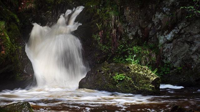 Eine Wasserfallkaskade hinter einem bemoosten Stein im Wald