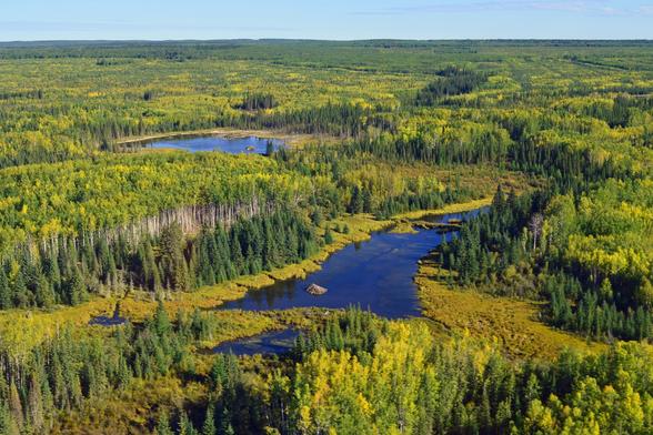 photo - aerial - oblique - Canada hydrology and forest example