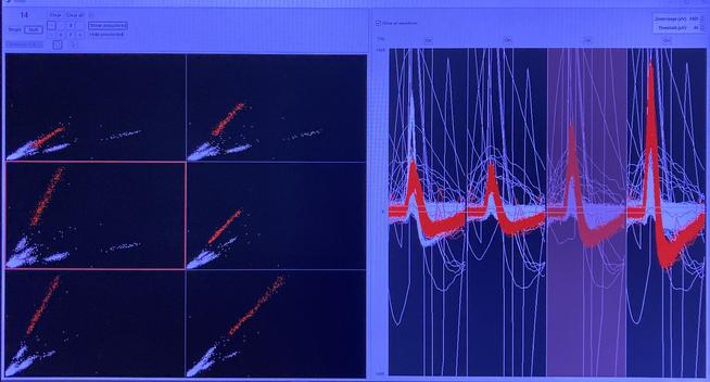 Photo of the cluster space and waveforms for a tetrode in hippocampus. Most clusters are normal-sized but one of them is very very long (it is a pyramidal cell, highlighted in red)