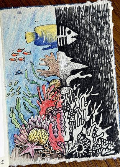 Zeichnung mit Buntstift und Pigmentliner auf einer Skizzenbuchseite; bunte Unterwasserszene mit Fischen und Korallen, die in einen schwarz-weißen Skelettabschnitt auf der rechten Seite übergehen.