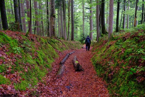 Weg zum Quarzstollen.