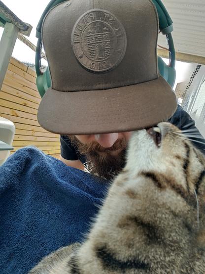 Katze schnüffelt/knabbert an #FCSP cap.