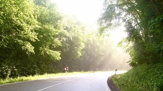 Kurve einer Landstraße, nach der Kurve fallen Sonnenstrahlen auf die Fahrbahn
