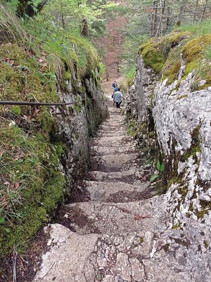 Dans le sens de la descente, long escalier taillé dans le rocher.
Le site est en forêt. Il y a une main courante à gauche, et des randonneurs presque en bas.