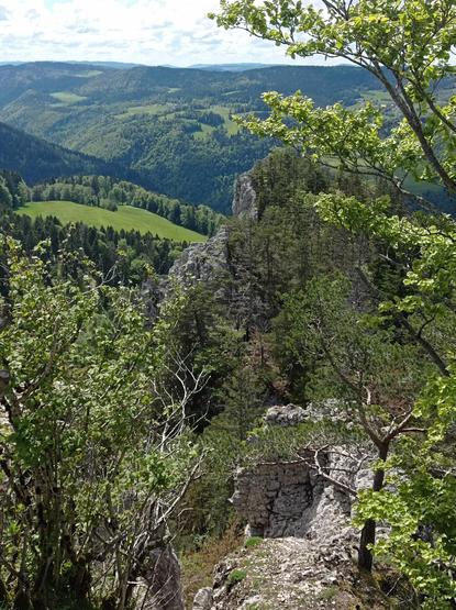 Le bout du chemin sécurisé. Après c'est le domaine des grimpeurs.
En bas de l'image, les vestiges d'un bâtiment, ancien poste d'observation militaire.
Au fil des plans du paysage, des arbres, un champ entouré de forêt, une vallée, l'autre versant collinaire, de bois et de pâturages.