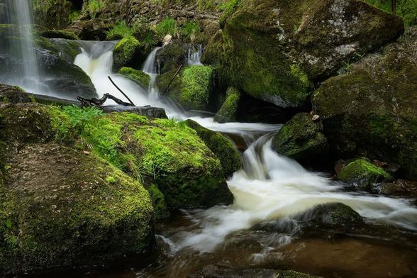Ein kleiner Wasserfall im Frühlingswald