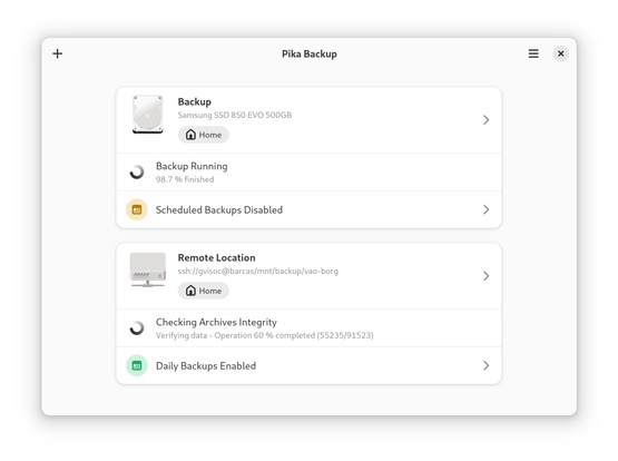 Интерфейс программы для резервного копирования Pika-Backup