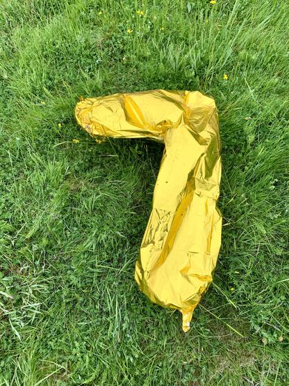 Discarded party balloon on grass
