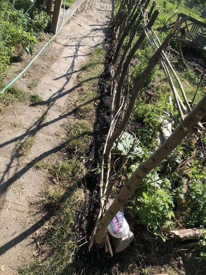 Ett löst staket av flätade pinnar. I hörnan en målad sten med transflaggan och texten Odlingslott 69