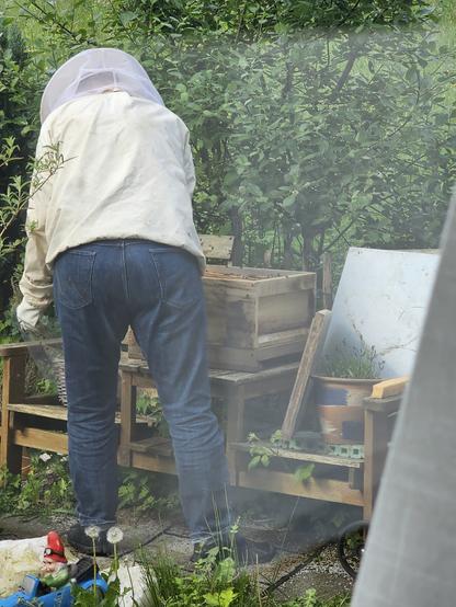 Der Imker beim kontrollieren der Waben