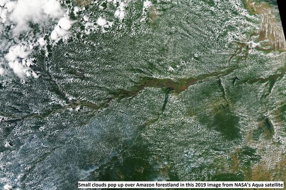 aerial image - Small clouds pop up over Amazon forestland in this 2019 image from NASA’s Aqua satellite.
