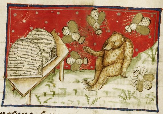 miniature painting from a medieval illuminated manuscript, illustration of a brown bear by a table with two beehives being swarmed by the bees