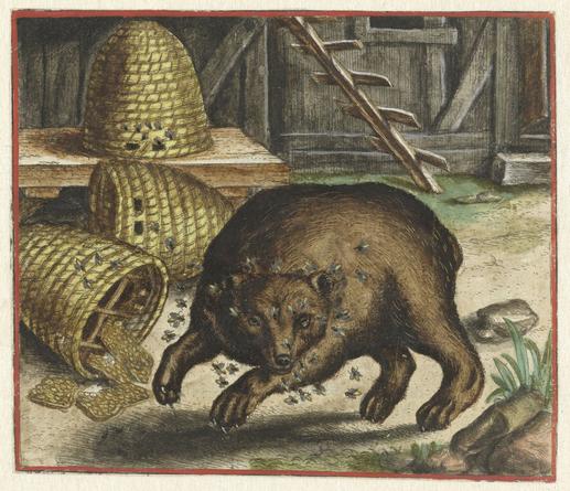 color illustration
"A bear near three beehives. He was stung by a bee and in his anger caused one of the hives to fall over. He is therefore attacked by the bees that swarm from the fallen hive. It is better to accept things passively than to seek revenge and suffer more."