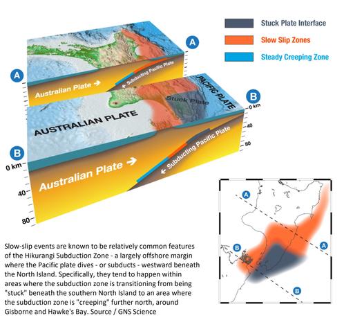 schematic geologic cross section - Hikurangi Subduction Zone, New Zealand