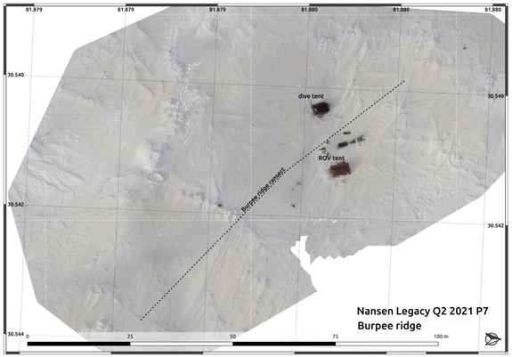 map showing an orthophoto of a sea ice field site with a survey line drawn over it. Survey line label reads 'burpee ridge transect'. There are two labelled tents - dive tent and ROV tent. Map title reads 'Nansen Legacy Q2 2021 P7
Burpee ridge'.