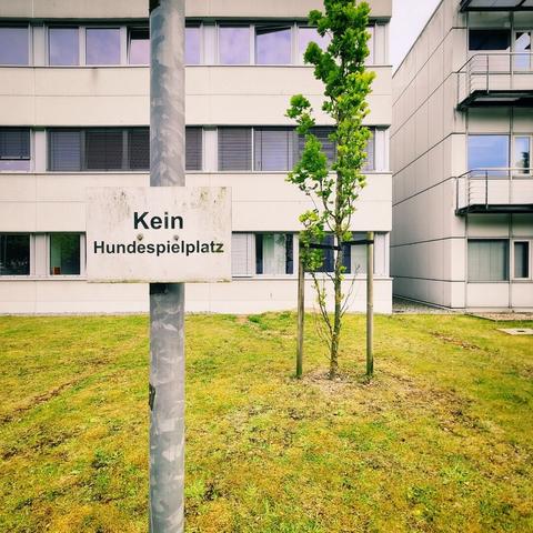 Schild "Kein Hundespielplatz" hinter dem KITZ an einem winzigen Stück Rasen zwischen den Häusern