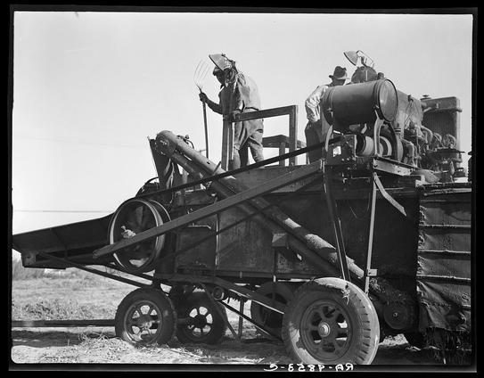 The image depicts a vintage scene of agricultural machinery from the early 20th century. In the foreground, there is a large mechanical thresher with various gears and belts visible, suggesting its complex mechanism for processing crops such as wheat. There are two individuals in the image; one person appears to be operating the machinery while another seems to be observing or assisting.
The background shows an expanse of flat land that is likely a farmland. The sky is overcast, suggesting it might be late afternoon or early morning, which is common for agricultural activities. This image captures a moment in the history of mechanized agriculture, illustrating the transition from manual to motorized labor in farming practices.
