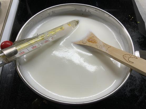 Cheese making. In this picture I’m slowly heating the milk.
