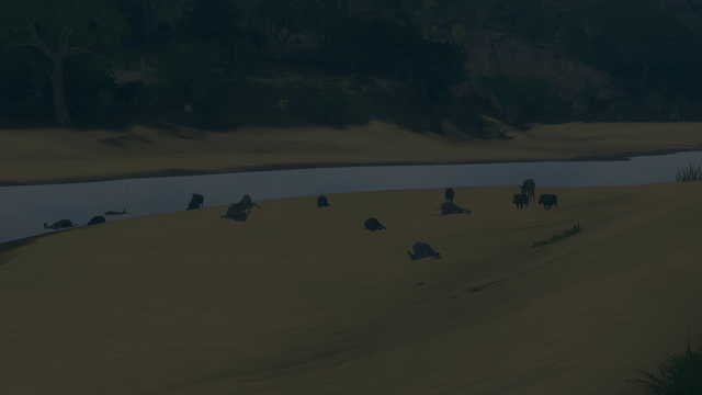 Screenshot aus Call of the Wild.

Mehrere erlegte Tiere an einem sandigen Flussufer. Daneben einige (verbuggte) Tiere, die nicht weglaufen.