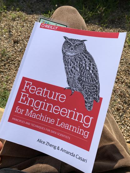 I am holding (on my knee) the book "Feature Engineering for Machine Learning" by Alice Zheng and Amanda Casari. The book features an illustration of an owl on the cover.
