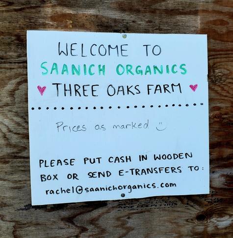 Sign on plywood reads:

SAANICH ORGANICS
❤️THREE OAKS FARM❤️

Prices as marked🙂

PLEASE PUT CASH IN WOODEN BOX OR SEND E-TRANSFERS TO:

rachel@saanichorganics.com