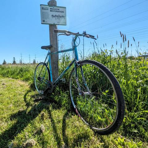 A bike  leans against a wooden "meadow restoration" post with wild grasses in a hydro corridor behind it. The bike's got a random blue/green spray paint job, and is very much made of parts: a 90s Miyata light steel frame, flat bars, nicer Shimano 600 side pull brakes than it really should have, single speed rear hub, gravel tire on the front, much thinner road tire (aero rim!) at back