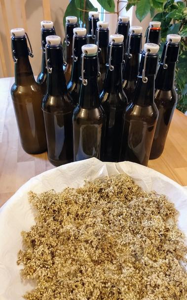 14 dunkle Flasche mit Schnappverschluss stehen auf einem Tisch. Darin befinden sich Holunderblüten Sirup. Vor den Flaschen steht eine Schale mit getrockneten Holunderblüten.